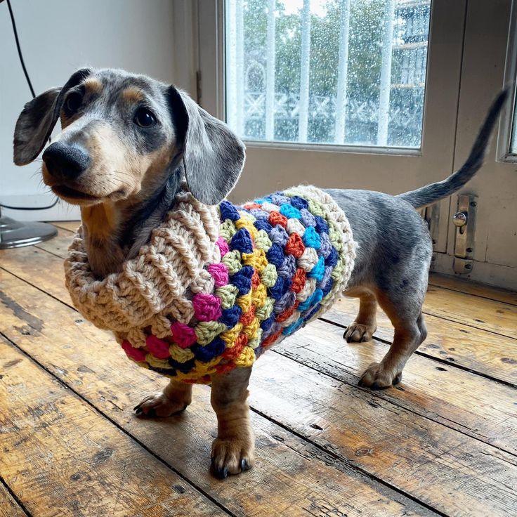 Bobble Kaleidoscope Dog Coat – Free Pattern